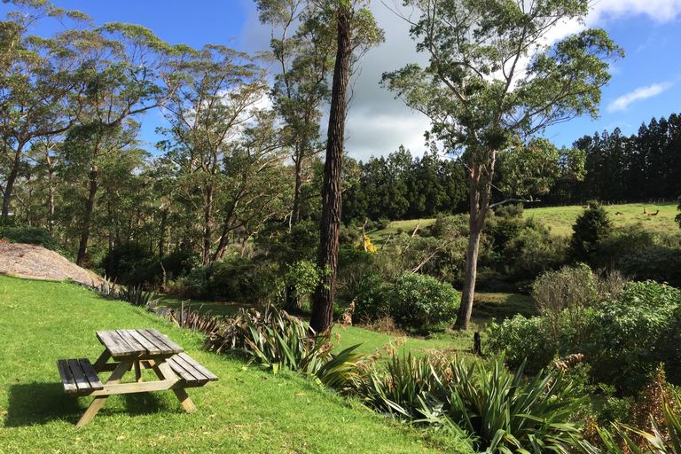 Photo of property in 11 Ironbark Road, Waipapa, Kerikeri, 0295