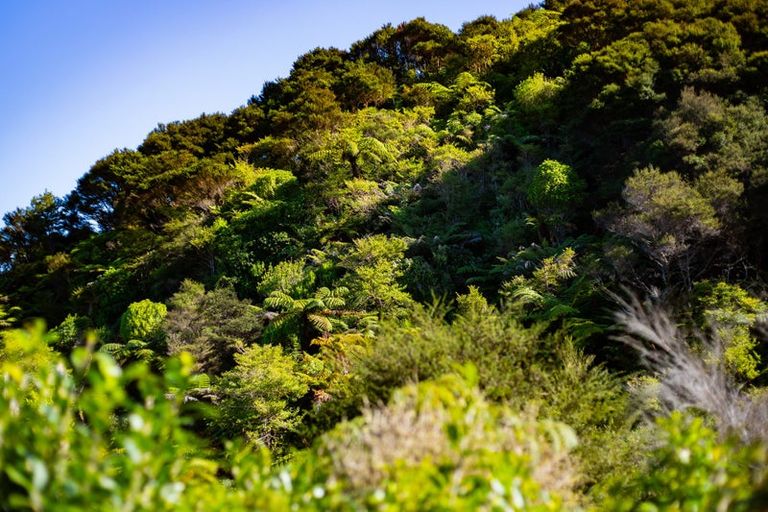 Photo of property in 18a Ahoroa Road, Judgeford, Porirua, 5381