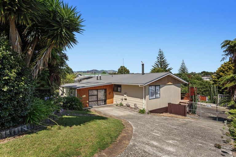 Photo of property in 74 Woodlands Road, Opotiki, 3122