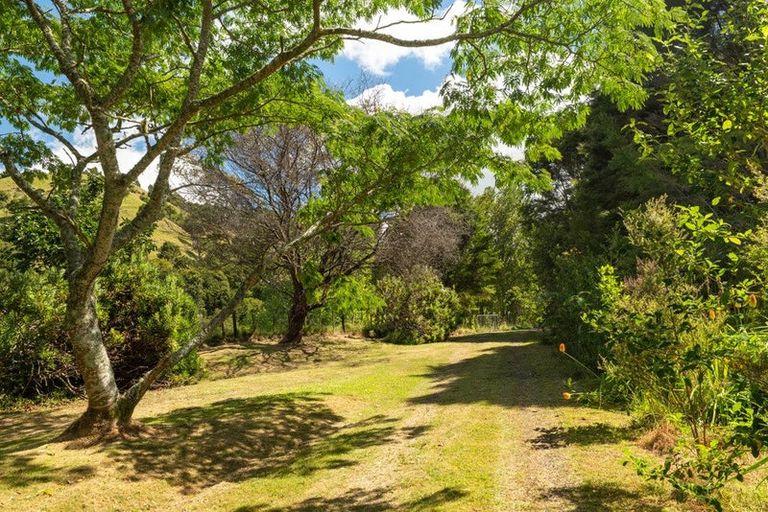 Photo of property in 49 Mangotahi Road, Thames, 3577