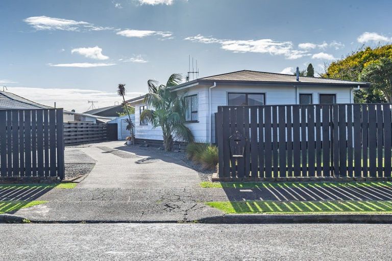 Photo of property in 9 Martin Harvey Street, Levin, 5510