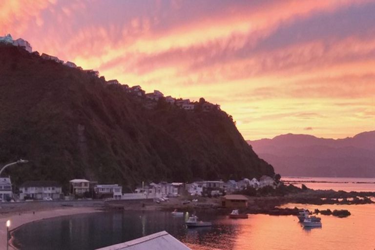 Photo of property in 3/201 Derwent Street, Island Bay, Wellington, 6023