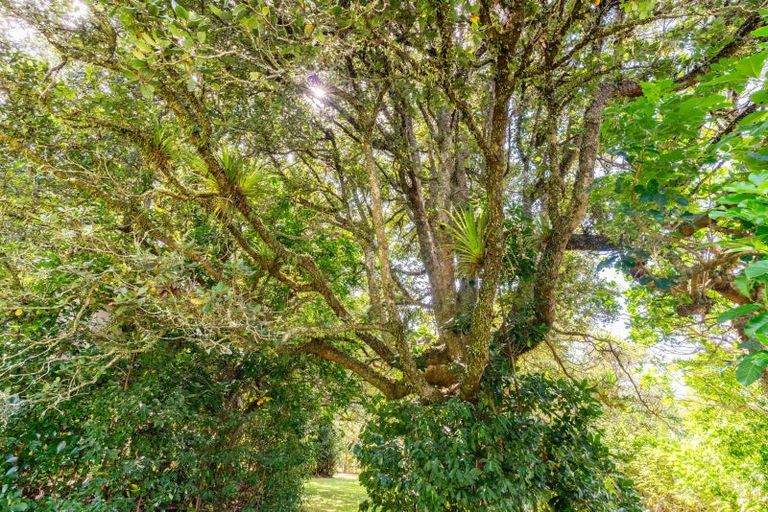 Photo of property in 915 State Highway 14, Maungatapere, Whangarei, 0179