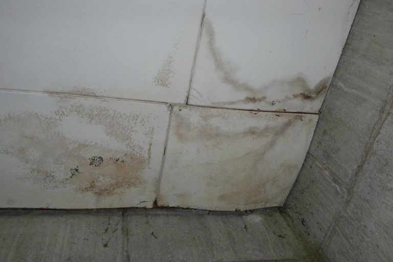 Photo of property in 26 Mills Street, Runanga, 7803