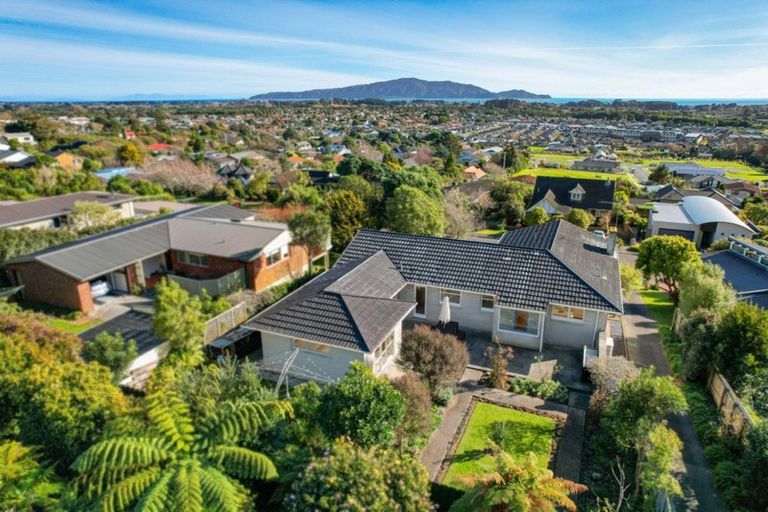 Photo of property in 109 Winara Avenue, Waikanae, 5036