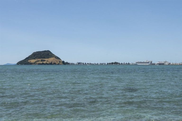 Photo of property in 76c Harbour Drive, Otumoetai, Tauranga, 3110