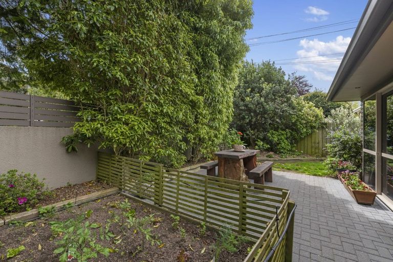 Photo of property in 117a Kawaha Point Road, Kawaha Point, Rotorua, 3010