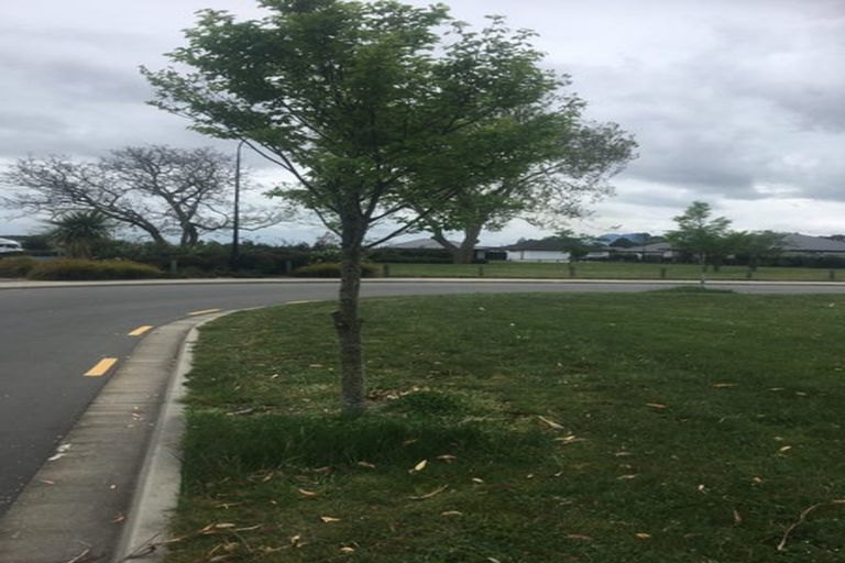 Photo of property in 24 Minerva Crescent, Woodend, 7610