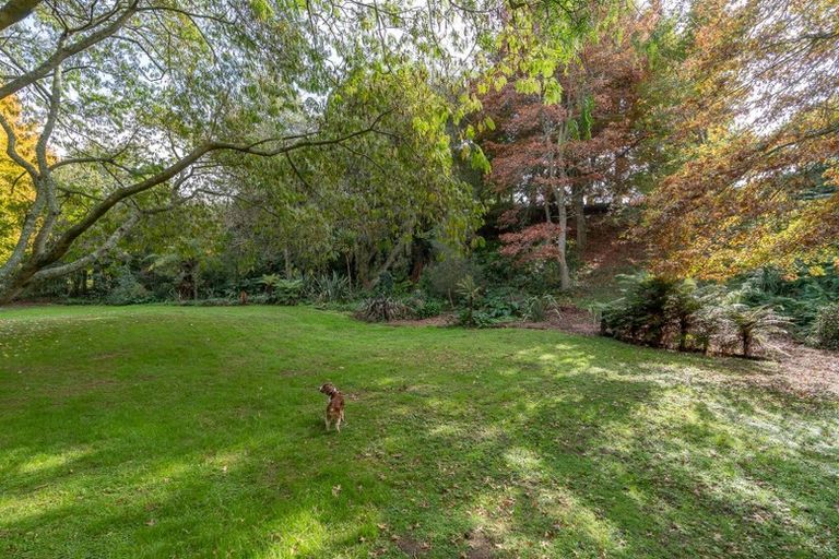 Photo of property in 30 Te Awa Road, Tamahere, Hamilton, 3283