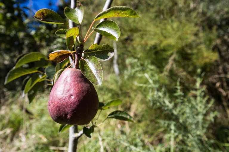 Photo of property in 78 Oxley Crescent, Broad Bay, Dunedin, 9014