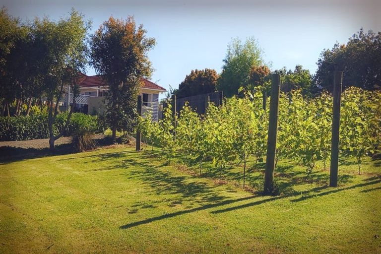 Photo of property in 156 Petley Road, Paparoa, 0571