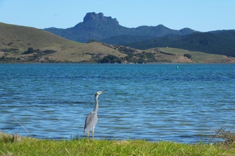 Photo of property in 114 Ti Kouka Crescent, Matarangi, Whitianga, 3592