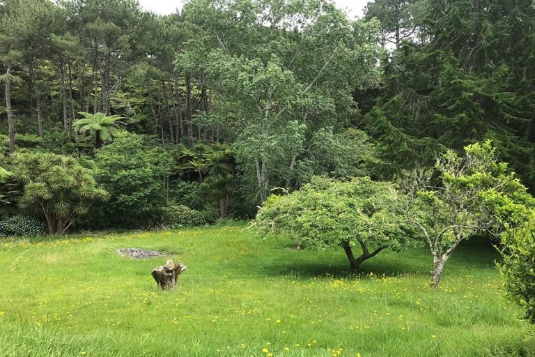 Photo of property in 851 Purangi Road, Cooks Beach, Whitianga, 3591