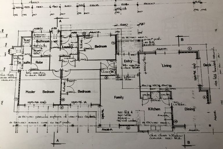 Photo of property in 49 Hazelwood Avenue, Dinsdale, Hamilton, 3204