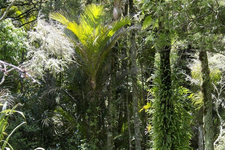 Photo of property in 132 Poyner Road, Ararua, Matakohe, 0594