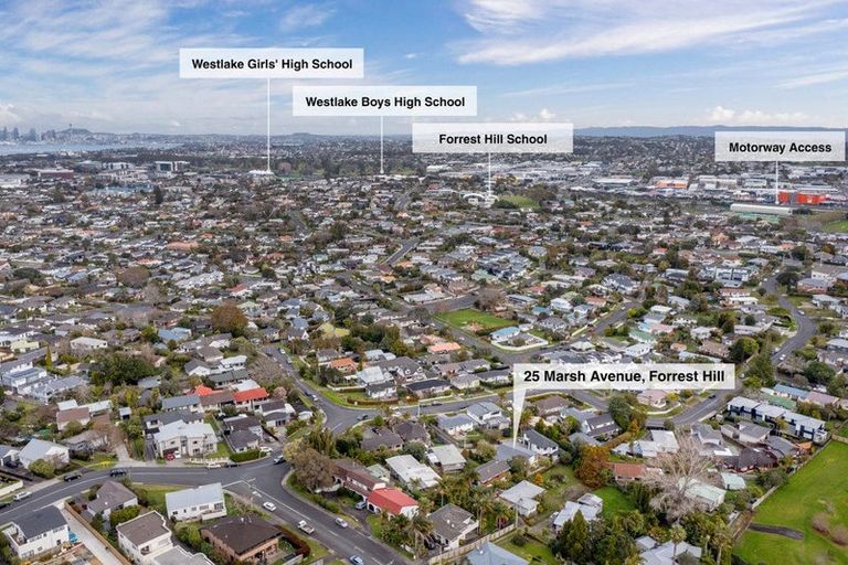 Photo of property in 25 Marsh Avenue, Forrest Hill, Auckland, 0620