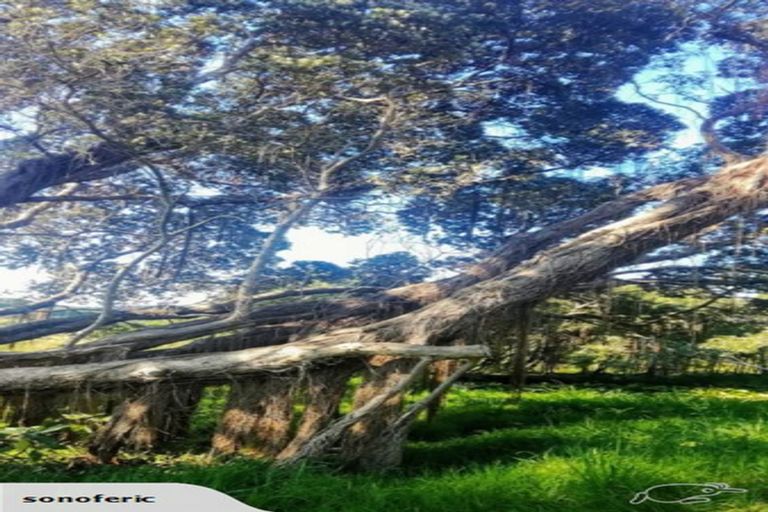 Photo of property in 355 Kimberley Road, Houhora, Pukenui, 0484