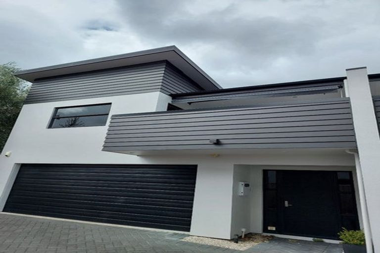 Photo of property in 44d Willoughby Street, Whitiora, Hamilton, 3200