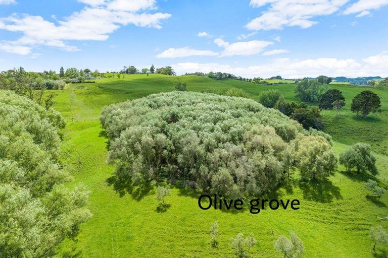 Photo of property in 91 Whaka Street, Maungaturoto, 0520