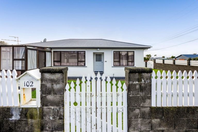 Photo of property in 102 Brecon Road, Stratford, 4332