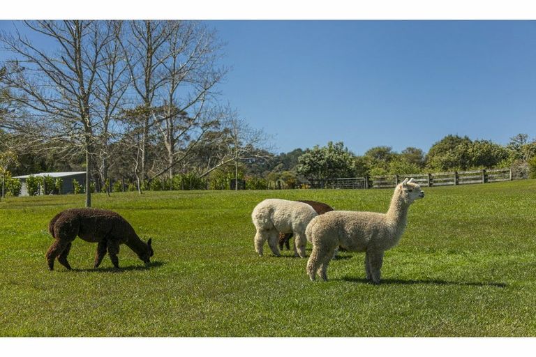 Photo of property in 153e Green Road, Dairy Flat, Albany, 0792