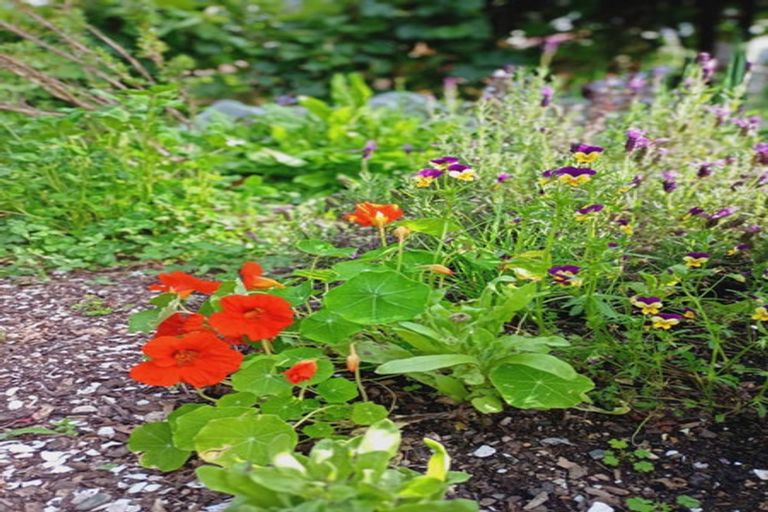 Photo of property in 102 Waitetuna Valley Road, Waitetuna, Raglan, 3295