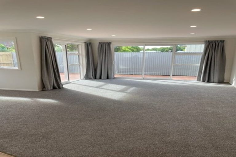 Photo of property in 117 Limbrick Street, Terrace End, Palmerston North, 4410