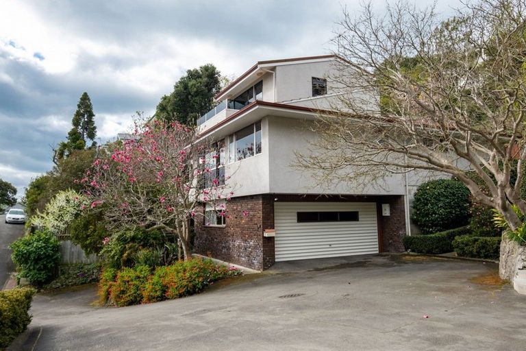 Photo of property in 8 Denholm Road, Hospital Hill, Napier, 4110