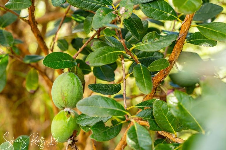 Photo of property in 1056 State Highway 12, Maungaturoto, 0583