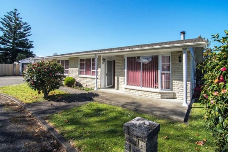 Photo of property in 130a Chapel Street, Masterton, 5810