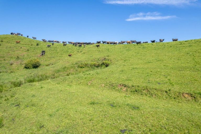Photo of property in 736 Mangaorongo Road, Otorohanga, 3972
