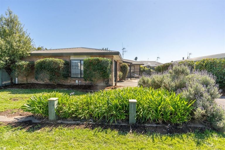 Photo of property in 10 Metro Avenue, Nawton, Hamilton, 3200