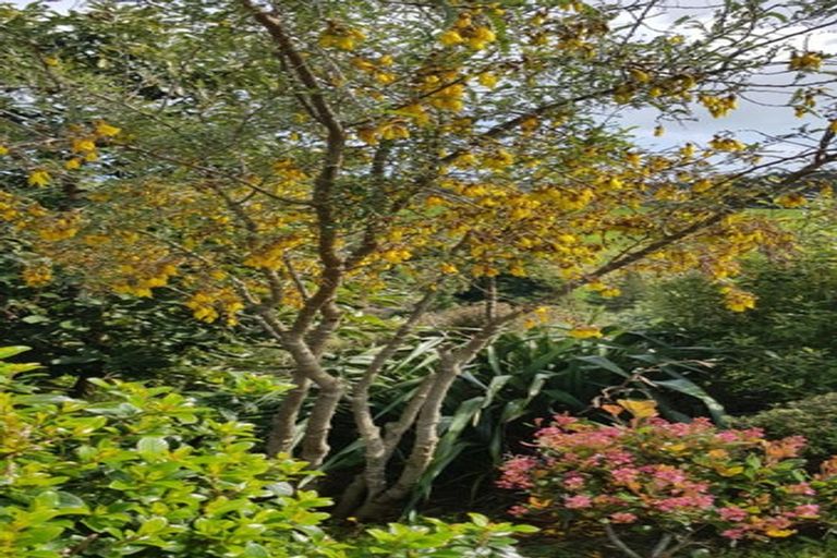 Photo of property in 20 Aderman Place, Hurworth, New Plymouth, 4310