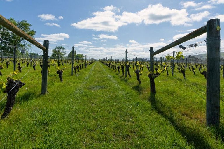 Photo of property in 35 Brighton Street, Island Bay, Wellington, 6023