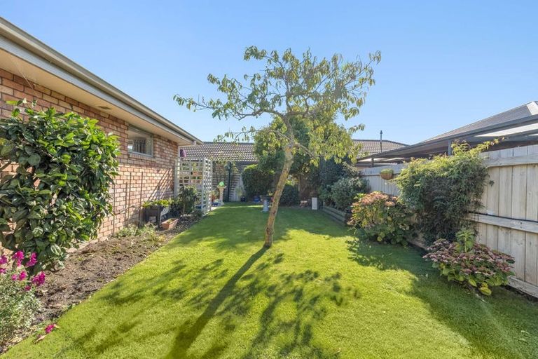 Photo of property in 19 De Castro Drive, Blenheim, 7201
