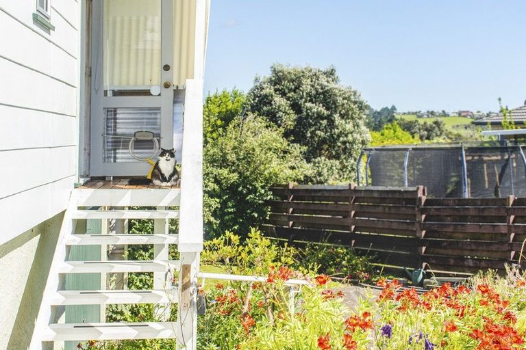 Photo of property in 49a Coopers Road, Gate Pa, Tauranga, 3112