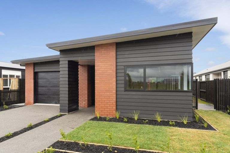 Photo of property in 25 Probert Crescent, Chartwell, Hamilton, 3210