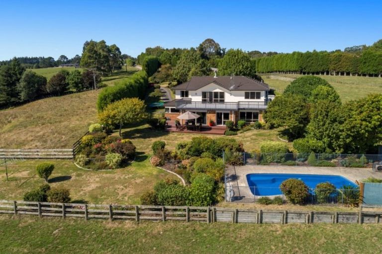 Photo of property in 49b Lloyds Lane, Oropi, Tauranga, 3173