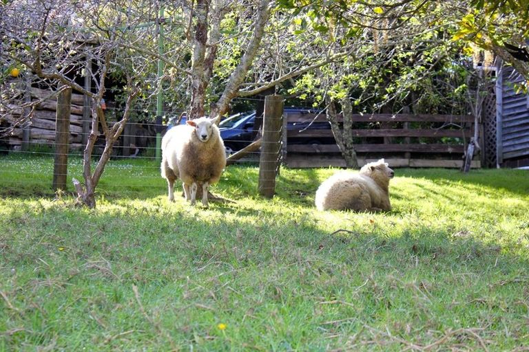 Photo of property in 65 O'neills Road, Swanson, Auckland, 0614