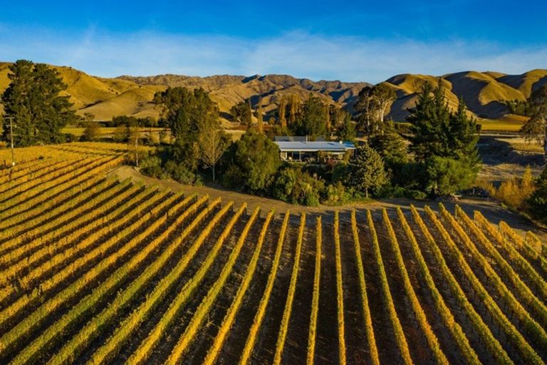 Photo of property in 440 Brancott Road, Fairhall, Blenheim, 7272