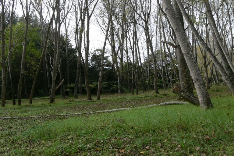 Photo of property in 84 Rigden Road, Opua, 0272