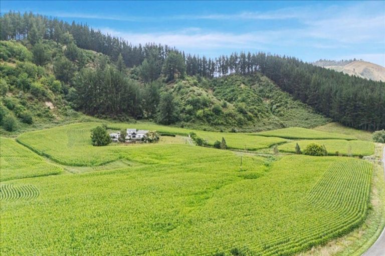 Photo of property in 280 Kaitaringa Road, Aria, Te Kuiti, 3981