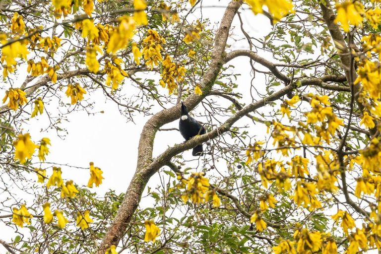 Photo of property in 7 Waite Street, Featherston, 5710