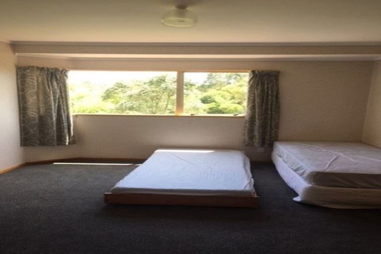 Photo of property in 329a Plummers Point Road, Whakamarama, 3172