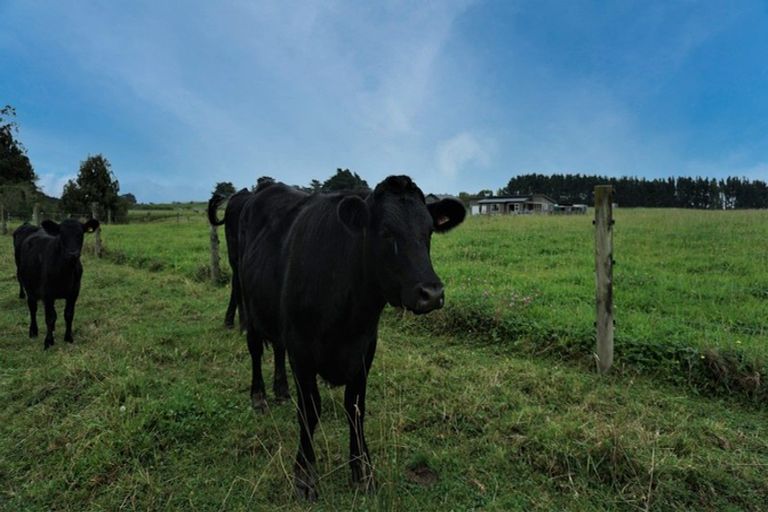 Photo of property in 25 Ryland Park, Levin, 5575