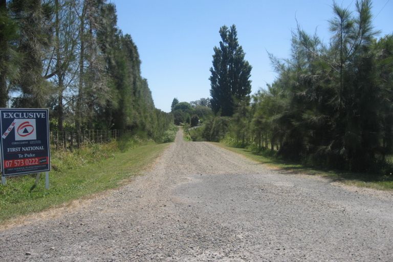 Photo of property in 178 Maniatutu Road, Pongakawa, 3186