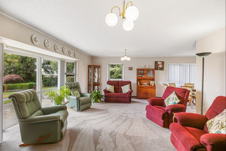 Photo of property in 213 Heatherlea Road East, Levin, 5571