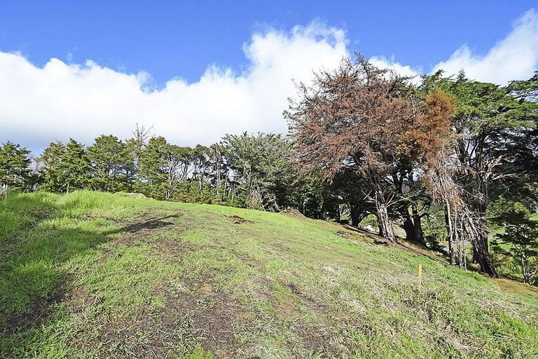 Photo of property in 99 Birdsall Road, Whangateau, Warkworth, 0985