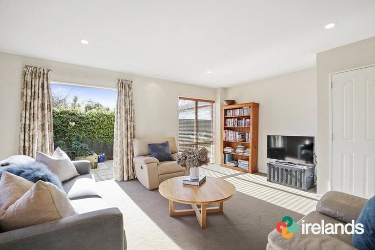 Photo of property in 25b Springfield Road, St Albans, Christchurch, 8014