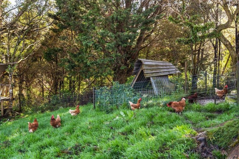 Photo of property in 280 Mount Tiger Road, Whareora, Onerahi, 0192